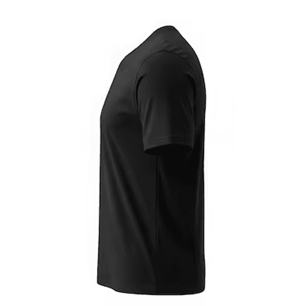 Mens Premium Blank T-shirt - Black